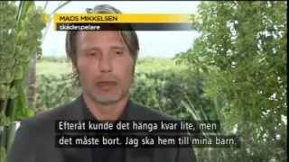 Mads Mikkelsen- Jagten/The Hunt Swedish Reportage