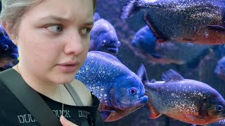 The LEGEND of the FISH MAN!