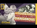 The Evolution of Parenting and Affection in Psychology