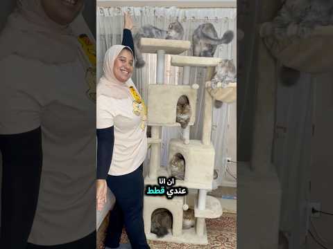 اخيراً جبت ڤيلا لقططي 🤪🙈🏡 #قطط