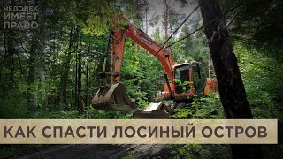 Заповедник или дорога? Защитники Лосиного острова пытаются остановить строительство магистрали
