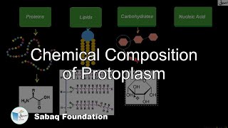 Chemical composition of protoplasm