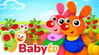 Kenny and Goorie Grow a Vegetable Garden | Learn About Veggies for Toddlers @BabyTV