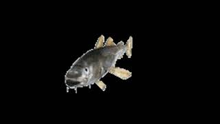 Yeoman Streams - Deus Ex / Just Chatting (part 2)