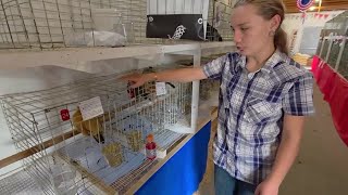 Boots, Chutes & Back To Our Roots! Twin Falls County Fair set to welcome the masses in Filer