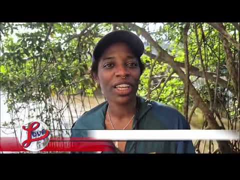 YouTube video thumbnail: Environmental Leaders Meet in Punta Gorda to Advance Marine Conservation Efforts