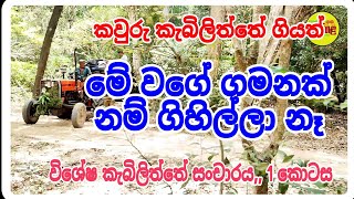 විශේෂ වූ කැබිලිත්තේ ගමන, #siwhelatv #history#srilankahistory #kabiliththa