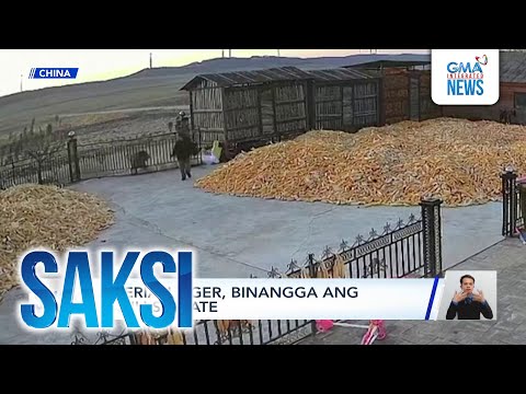 Saksi: (Part 3) Nagulantang sa tigre; Weasley twins sa Pilipinas; International dishes with...