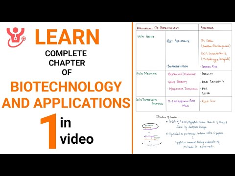 Biotechnology and Its Applications Explained || NEET 2025 || Class 12 NCERT Biology || Dr Sharun