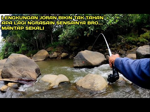 Sensasi Mancing Nilem Beda Spot Beda Umpan #LM20