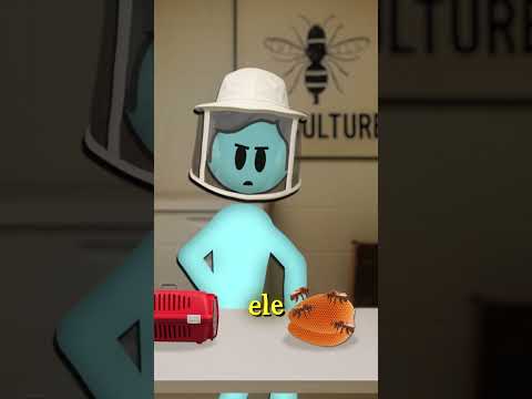 VALEU A PENA ?!