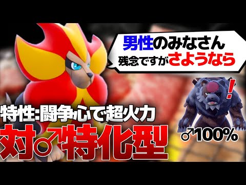 ♂相手には超火力のカエンジシが♂100%のガチグマと対峙すると...?【ポケモンSV】