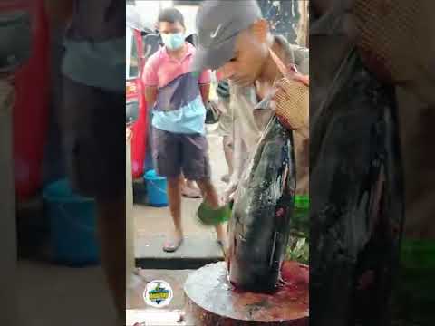 Tuna fish cutting | fish cutting short video | cutting skills short video | short videos | fish cut