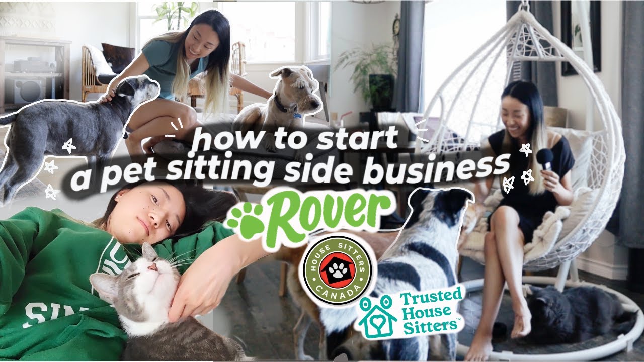 How to Start a Pet Sitting Business 2024