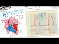 Cardiac Cycle and Valve Functions