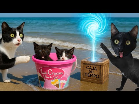 ¡Abrimos la CAJA MISTERIOSA del TIEMPO y somos GATITOS BEBÉS en la playa! 🐱 Luna y Estrella