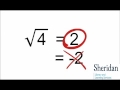 Absolute Value and Square Root Functions