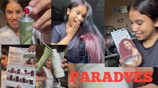 /Tried NO BLEACH Hair Colour from PARADYES/ PARADYES Hair colour without Bleach CHEERY COKE ☺️☺️❤️💁