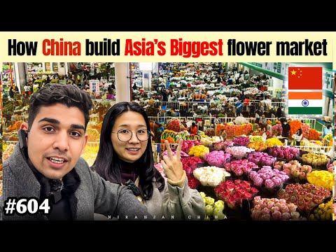 How China earn by flower market || Niranjan China