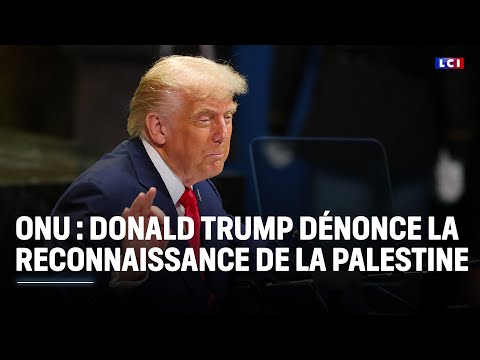 Immigration, Russie, Gaza, planète : le discours de Donald Trump devant l'ONU｜LCI