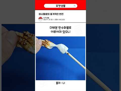 마시멜로의 충격적인 반전