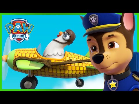 Pups Save a High Flying Chickaletta! - PAW Patrol Episode - Cartoons for Kids