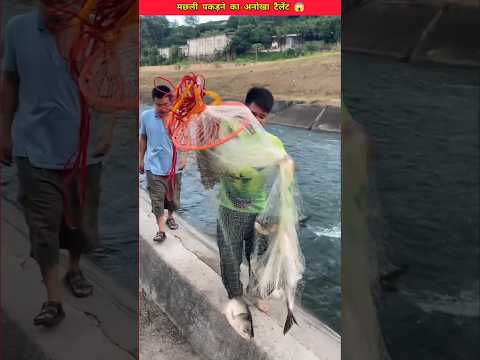 OMG 😯 मछली पकड़ते का अद्भुत तरीका 😱#shortvideo #indianshorts #fishing #fish #shortsfeed #viral