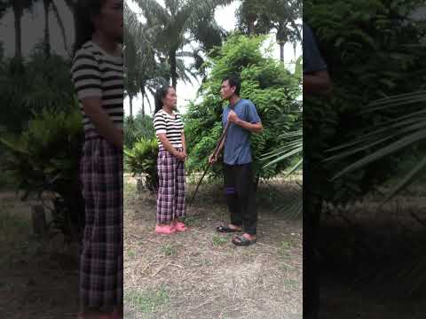 ถ่าใช้มื้ออื่น🤣