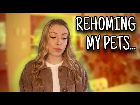 Are Pet Youtubers Irresponsible?