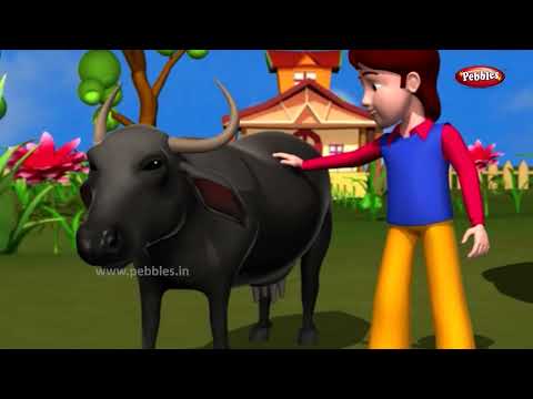 Animal Rhymes in in Marathi | Animal Songs for Children | Pebbles Marathi