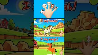 Finger Family Song Goat and Horse Animal Sounds Kids Short CocomomoKidsTV #animalsounds #kidslearnin