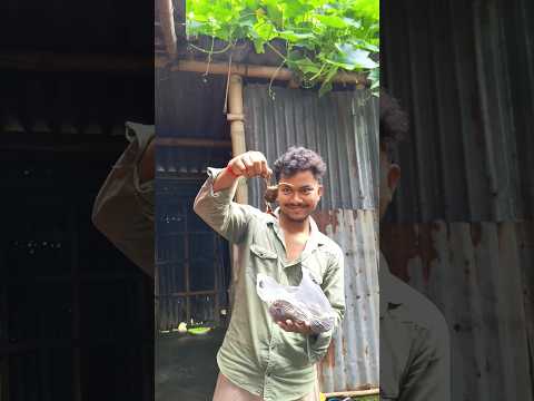 মায়ের জন্যে হাট থেকে অনেকগুলো কাঁকড়া কিনে আনলাম #vlog 150 #dailyvlog #minivlog #shorts #trending