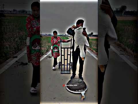 CHINESE STATUS ❤| 4K STATUS FULL SCREEN✨WHATSAPP #shortsyoutube #lovestatus#love #shorts
