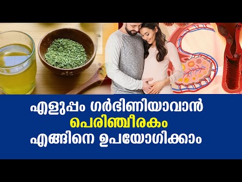 എളുപ്പം ഗര്‍ഭിണിയാവാന്‍ പെരിഞ്ചീരകം എങ്ങിനെ ഉപയോഗിക്കാം Fennel seeds benefit for fertility