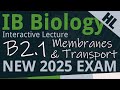 Cell Membrane Structure and Function