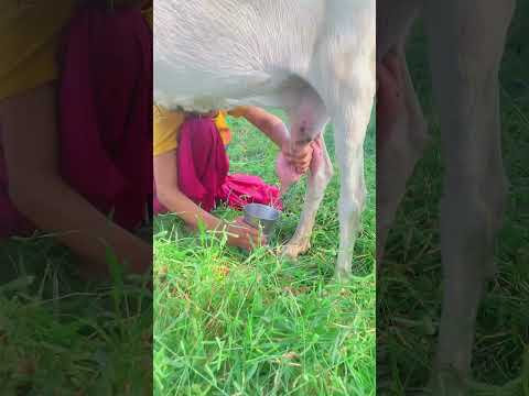 ghareeb admi ki madad #india #fbree #shortviral #stetus