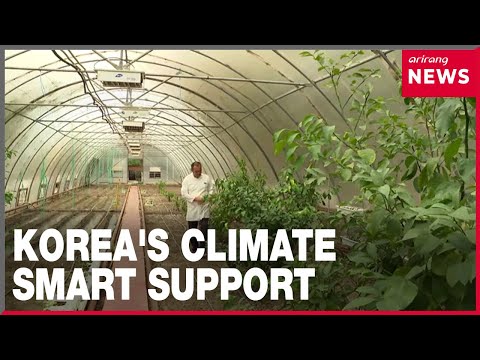 YouTube video thumbnail: South Korea Helps Uzbek Locals Build Climate-Smart Farming Success in Desert Land, After Aral Sea...