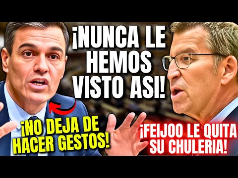 😂DISFRUTEN! SÁNCHEZ DESCOMPUESTO y MUY NERVIOSO ¡ANTE UN INESPERADO PALIZÓN DE FEIJÓO EN EL SENADO!