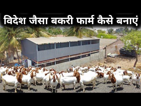 घर के पीछे कम जगह में, कम मेहनत का Goat Farming Model | Goat Shed Design | Goat Farm house