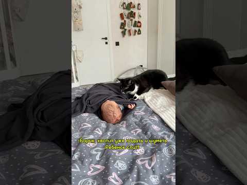 Надеюсь, ни для кого не жизненно…