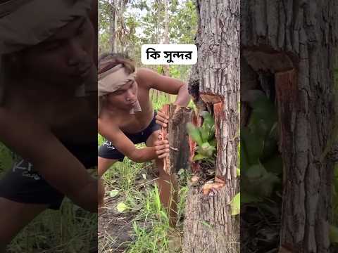 Wow #shortsvideo #birds #viralvideo #funnyvideos