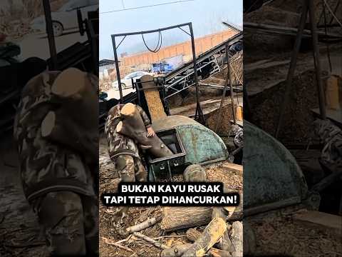 INILAH ALASAN KENAPA KAYU BAGUS DIHANCURKAN MENGGUNAKAN MESIN INDUSTRI! #shorts #short #shortsviral