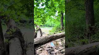 Barkshed Recreation Area Fifty Six Arkansas