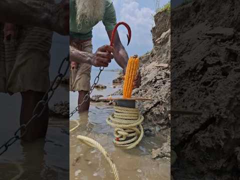 Tempting Corn Bait For Giant Fish Catching in River 5 #shorts #fishinglife #fishingislife
