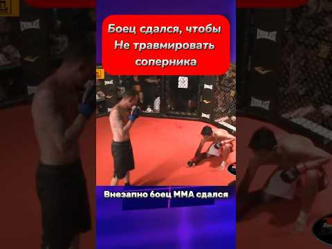 Боец ММА сдался, дабы прекратить избиение соперника #мма #попмма #боец #накаут #ufc