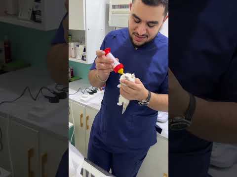 الله ستر 🤲