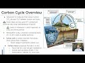 Exploring the Carbon Cycle in AP Environmental Science