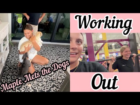 Maple Meets Winnie and Stitch! Working Out with Friends!