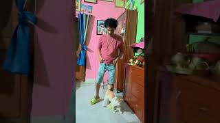 popu pam pam funny moments with his cats. 😂😂