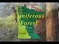 Coniferous Forests and Climate Change